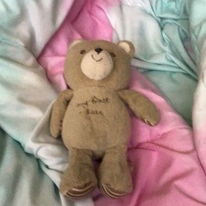 A bear that say my first bear.